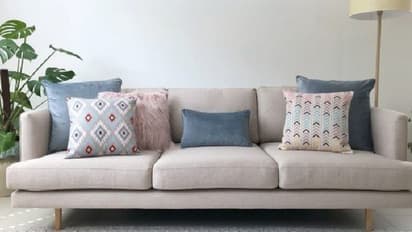 இலவசமாக கிடைத்த சோபாவில் ரூ. 27 லட்சம்.... அதிர்ஷ்டசாலி பெண் என்ன செய்தார் தெரியுமா..?