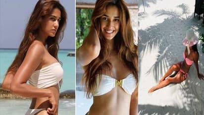 Want to have Disha Patani as 'Girlfriend'? Her latest Instagram reels could change your mind (Watch)