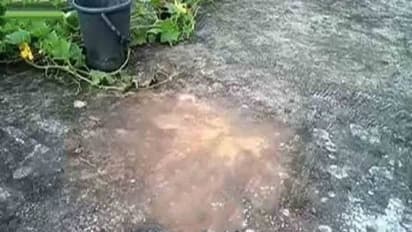 নির্বাচনের আগে পরপর বোমাবাজিতে উত্তপ্ত সামশেরগঞ্জ, মোতায়েন রয়েছে পুলিশ