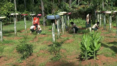 കൃഷിയിടവും കോഴിഫാമും കാത്തിരിക്കുന്നു, സ്കൂൾ തുറക്കുന്ന ത്രില്ലൽ ഈ കുട്ടികൾ