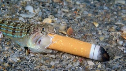 ഓഷ്യന്‍ ഫോട്ടോഗ്രഫി അവാര്‍ഡ്; സമുദ്ര മാലിന്യങ്ങളെ അടയാളപ്പെടുത്തിയ അവാര്‍ഡ്