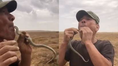 വായില്ക്കൊള്ളാത്ത വിധം നാവു വീര്ത്തു, ശ്വാസം മുട്ടി, പാമ്പിനെ വിഴുങ്ങിയപ്പോള് സംഭവിച്ചത്