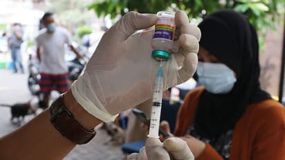 कुत्ते की तरह हो जाता है इंसान, 10 दिनों में मौत का डर, जानें कितनी खतरनाक है ये बीमारी, बचने के क्या हैं उपाय