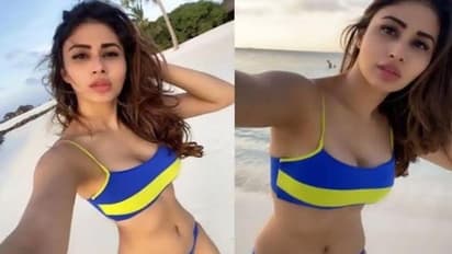 ಜನವರಿಯಲ್ಲಿ KGF ಚೆಲುವೆಯ ಮದುವೆ ? ಹುಡುಗ ಯಾರು ?