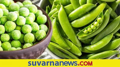Side effects of peas : ಚಳಿಗಾಲದಲ್ಲಿ ಬಟಾಣಿ ಅತಿಯಾದ ಸೇವನೆಯಿಂದ ಅನಾರೋಗ್ಯ
