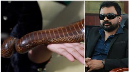 '4 കോടി ഹൈദരാബാദിൽ എത്തിക്കാൻ സഹായിക്കണം, കേസ് കൊടുത്തയാളെ വിരട്ടണം'; മോൻസന്റെ ഫോൺ കോൾ പുറത്ത്