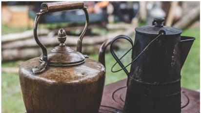 എന്താണ് യഥാർത്ഥ 'ആന്റിക്'? പുരാവസ്തുക്കളുടെ പേരിൽ നടക്കുന്ന തട്ടിപ്പുകൾ എങ്ങനെ തിരിച്ചറിയാം?