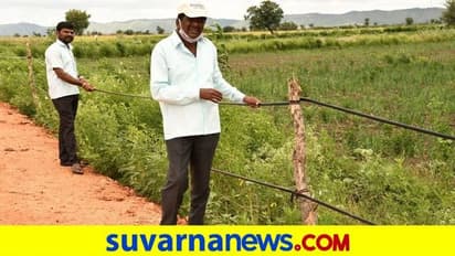 ಗದಗ: ಹನಿ ನೀರಾವರಿ ಪೈಪ್‌ಗಳೀಗ ರೈತರ ಹೊಲಕ್ಕೆ ಬೇಲಿ..!