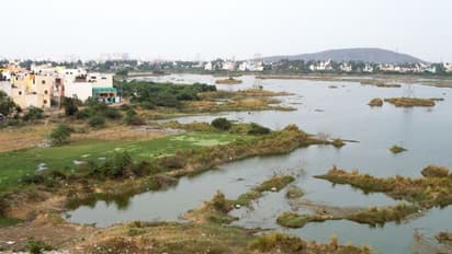 இந்த கட்டிடங்களுக்கு தண்ணீர் இணைப்பு, மின் இணைப்பு கட்.. சென்னை உயர்நீதி மன்றத்தில் அரசு தகவல்.