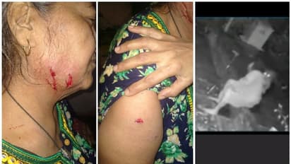 ఇంటి ముందు కూర్చున్న మహిళపై దాడి చేసిన చిరుత పులి.. వెనుక నుంచి వచ్చి పంజా.. వీడియో ఇదే