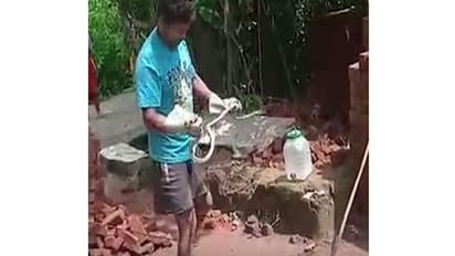 सांप को पकड़कर डिब्बे में कर रहा था बंद फिर उसके साथ करने लगा खिलवाड़, अंजाम देखकर सहम जाएंगे आप