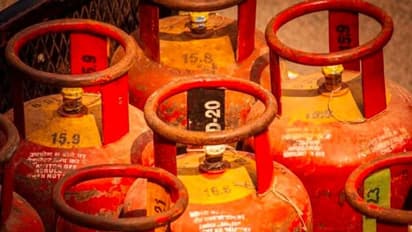 LPG Subsidy : यूपी चुनाव से पहले गृहिणियों को बड़ी राहत, घरेलू सिंलेडर मिल रही 237 रुपए तक सब्सिडी