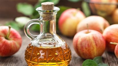 গর্ভাবস্থায় নিয়মিত অ্যাপেল সিডার ভিনিগার খাচ্ছেন? জেনে নিন এর উপকারীতা