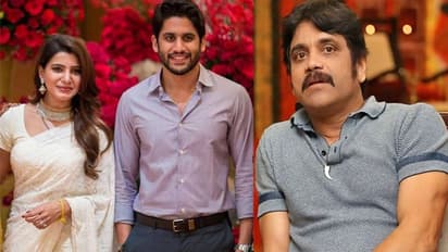 Why Samantha Ruth Prabhu rejected Rs 200 crore alimony? Read this