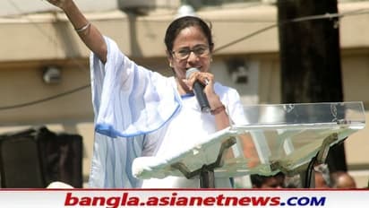 Mamata Banerjee: 'দার্জিলিংয়ে আছে সোনার খনি', উত্তরবঙ্গে গিয়ে কর্মসংস্থান নিয়ে বড় বার্তা মমতার