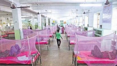 ചാന്ദിപുര വൈറസ് ബാധയെന്ന് സംശയം, ഗുജറാത്തിൽ നാല് കുട്ടികൾ മരിച്ചു, രണ്ട് പേർ ചികിത്സയിൽ