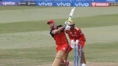 IPL 2022: Mike Hesson reveals Glenn Maxwell's availability date for RCB