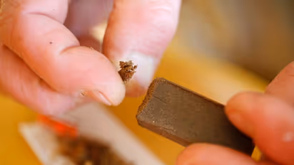 চরস, কোকেন, এমডিএমএ - কীভাবে সেবন করা হয় এই মাদকগুলি, কী কী ক্ষতি হয় শরীরের, দেখুন