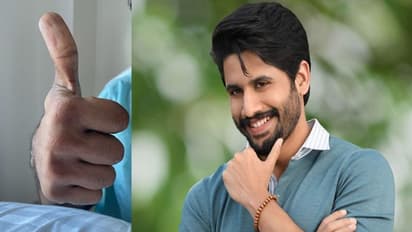 సాయిధరమ్ తేజ్ ట్వీట్ కు నాగ చైతన్య రిప్లై.. క్రేజీగా ఫ్యాన్స్ కామెంట్స్