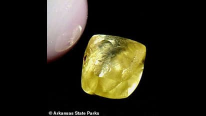 അരമണിക്കൂര്‍ തിരച്ചിലില്‍ കൈയില്‍ കിട്ടിയത് 11 ലക്ഷത്തിന്‍റെ മഞ്ഞ വജ്രം !