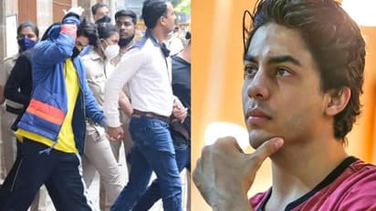 রেভ পার্টিতে চেকিংয়ের শুরুতেই ভয়ে ঘাবড়ে যান আরিয়ান, আটক হতেই কেন ক্ষমা চান শাহরুখ পুত্র