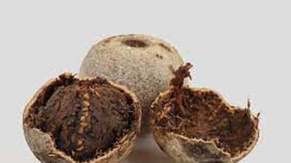 Wood Apple: விளாம்பழம் சாப்பிட்டால் இவ்வளவு நன்மைகள் இருக்கா..? மிஸ் பண்ணாம தெரிஞ்சு வச்சுக்கோங்கோ..