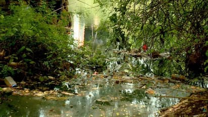 ജനങ്ങള് കുടിക്കുന്നത് ഈ വെള്ളം; മീനച്ചിലാറ്റിലെ വെള്ളത്തിൽ ഉയർന്ന അളവിൽ മനുഷ്യ വിസർജ്യ സാന്നിധ്യം
