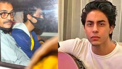 'আমি এক সম্ভ্রান্ত পরিবারের ছেলে, আইনকে ধোকা দেব না', মাদককান্ডে জামিন পেতে জোর সওয়াল আরিয়ানের