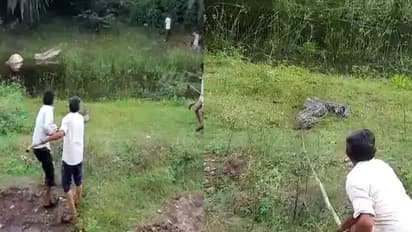 इंसान बना हैवान: अजगर को कुल्हाड़ी से काट डाला, क्रूरता ऐसी कि दिल दहल जाए..फिर भी तमाशा देखते रहे लोग