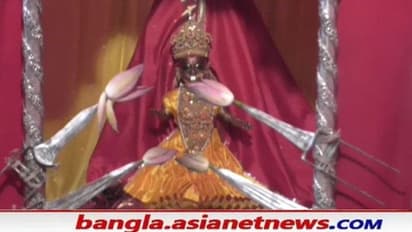 Durga Puja: সোনার মূর্তির বদলে কলা বউ, পুরুলিয়ার রাজবাড়িতে এবার ব্যতিক্রমী দুর্গাপুজো