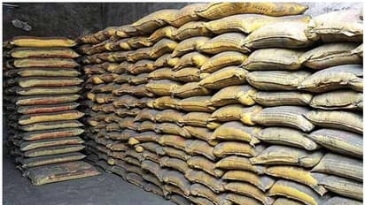 cement share price: வீடுகட்டுவோர் கவனம்! சிமெண்ட் விலை மூட்டைக்கு ரூ.30 வரை அதிகரிக்க வாய்ப்பு?