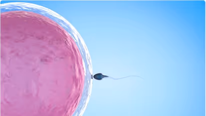 ഐവിഎഫ് ചികിത്സയ്ക്ക് ഒരുങ്ങുകയാണോ? അറി‍ഞ്ഞിരിക്കേണ്ട ചില കാര്യങ്ങൾ