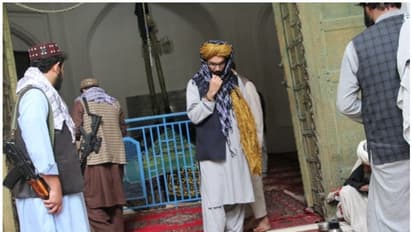 Taliban: ভারত বিরোধী সুর তালিবান নেতার, মাহমুদ মাজার পরিদর্শন করে কী বললেন হাক্কানি