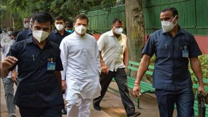 Lakhimpur Kheri violence: Congress delegation meets President Kovind, demands MoS Ajay Mishra's dismissal