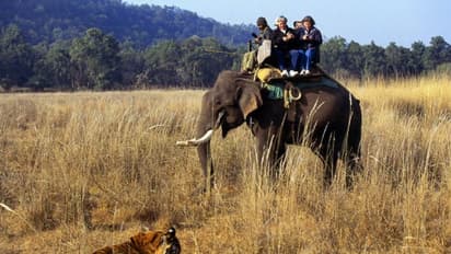 ജിം കോര്‍ബറ്റ് ദേശീയോദ്യാനം; പേര് മാറ്റാന്‍ കേന്ദ്രമന്ത്രിക്ക് താത്പര്യം, ഇല്ലെന്ന് ഉത്തരാഖണ്ഡ്