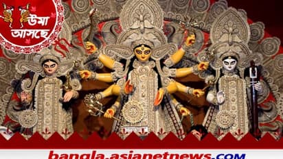 দুর্গা পুজায় কি করলে জীবন থেকে দুঃখ এবং যন্ত্রণা থেকে মুক্তি পাবেন, জেনে নিন রাশি অনুযায়ী