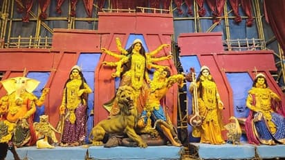 প্রিয় 'সুব্রতদা'কে ছাড়া ফিকে পুজোর আমেজ, পুজো কার্নিভালেও নেই একডালিয়া এভারগ্রিন