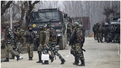 Terrorists Killed- সাফল্যের তালিকা, চলতি বছরে সেনা-সিআরপিএফের হাতে খতম ১৩৮ জঙ্গি