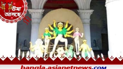 Durga Puja: 'মুসলিমরাও পুজোয় সাহায্য করে আসছেন', শারদীয়ায় জমজমাট মুর্শিদাবাদের জমিদারবাড়ি