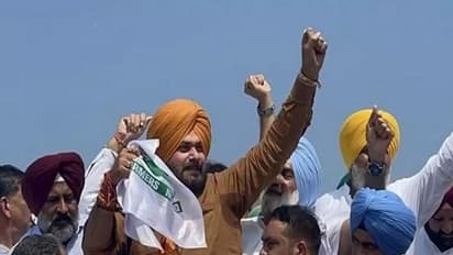 सिद्धू का छलका दर्द : कहा - कांग्रेस की नैया डुबो देंगे चन्नी, मुझे कुर्सी मिलती तो फिर देखते...