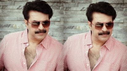 പുത്തൻ ഫോട്ടോയുമായി മമ്മൂട്ടി; ഏറ്റെടുത്ത് താരങ്ങളും, 'മമ്മൂസേ'ന്ന് വിളിച്ച് ജനാർദ്ദനൻ