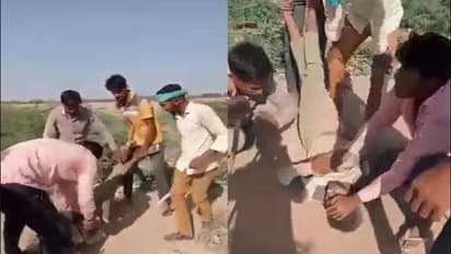 कांग्रेस शासित राजस्थान का ये कैसा हाल? लाठी-डंडों से पीट-पीटकर युवक को मार डाला, आप भी देखिए हैवानियत..