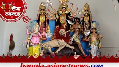 Durga Puja- ফুলহর নদীর তীরে ৩৫০ বছর ধরে পূজিতা হচ্ছেন বুড়িমা