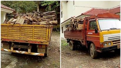 മഹാരാജാസ് കോളേജിൽ മരം മുറിച്ചു കടത്താൻ ശ്രമം, തടഞ്ഞ് എസ്എഫ് ഐ പ്രവർത്തകർ
