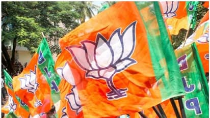 ಎರಡೂ ಉಪಚುನಾವಣೆ ಕ್ಷೇತ್ರಗಳಲ್ಲಿ ಬಿಜೆಪಿ ಅಭ್ಯರ್ಥಿಗಳು ಗೆಲುವು