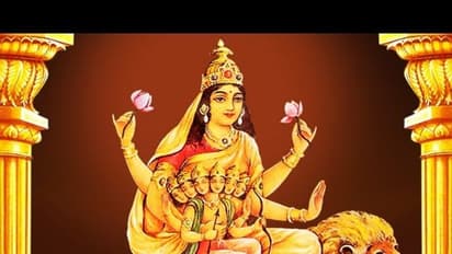 মহাগৌরী রূপে পুজিত হচ্ছে দেবী দুর্গা, জেনে নিন মাঘ নবরাত্রিরের অষ্টম দিনের পুজোর বিধি