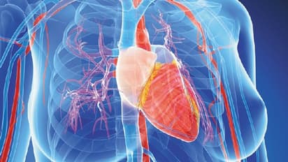 పాతికేళ్ల కిందటే.. మనిషికి పంది గుండె అమర్చిన అస్సాం డాక్టర్.. కానీ జైలుకెళ్లాడు.. ఎందుకంటే...