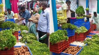 ചീരയാണ് സാറേ മെയിൻ... പത്തിനം ചീരകൾ മൂന്നാർ വിപണിയിലെത്തിച്ച് വ്യാപാരി