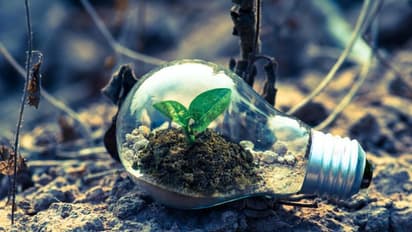 ഇന്ത്യയിലെ മലിനീകരണം കണ്ട് ഞെട്ടിയ ഇസ്രായേലി ഗവേഷകൻ വികസിപ്പിച്ചെടുത്തത് മണ്ണിനെ ശുദ്ധീകരിക്കാനുള്ള പുതിയവിദ്യ