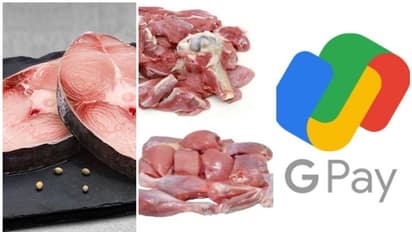 'ഗൂഗിള് പേ ഉണ്ടോ' തട്ടിപ്പ്; മാന്യന് മുങ്ങിയത് രണ്ട് കിലോ അയക്കൂറയും കോഴിയും മട്ടനുമായി.!